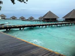 More importantly, its average height is just 1.5 meters above sea level, which means that a sea level rise of just 1.5 meters will submerge 80 percent of the island. A Vanishing Paradise The Maldives Expected To Be Swallowed By The Ocean In The Future Hs Insider