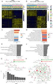 What color is the cancer bracelet? Comprehensive Transcriptome Profiling Of Taiwanese Colorectal Cancer Implicates An Ethnic Basis For Pathogenesis Scientific Reports