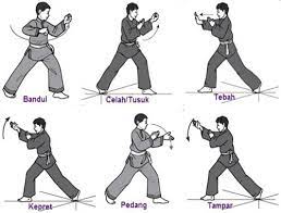 Aliran pencak silat perisai diri dari daerah. Learn Pencak Silat Techniques By Tikanuraini Android Apps Appagg