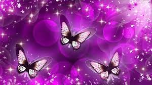 Kupu kupu sendiri merupakan kumpulan serangga yang dikelompokkan dalam ordo lepidoptera. Wallpaper Aesthetic Ungu Kupu Kupu Novocom Top