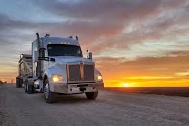 Image result for Medium Brown 2021 Fleet