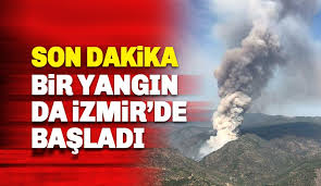 We did not find results for: Son Dakika Bir Yangin Da Izmir Bayindir Da Basladi