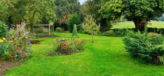 July 4 at 10:33 am. Dein Rasen Im Sommer So Bleibt Er Saftig Grun Willkommen In Franks Kleinem Garten