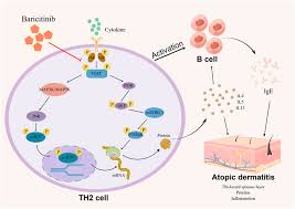 Image result for Baricitinib