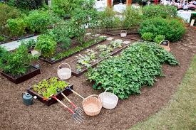 Maybe you would like to learn more about one of these? President S Park