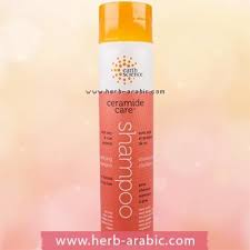 بروتين Oily Hair Shampoo Hair Shampoo Oily Hair