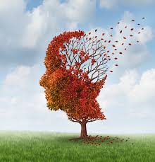 Dysfunction Of The Golgi Apparatus Linked To Neurodegenerative Diseases Jpnd
