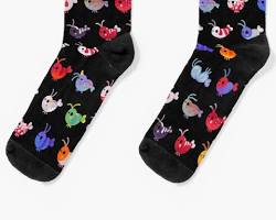 socks with Red Bee Shrimp designの画像