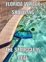 Monday Memes Hello Spring Florida Funny Funny Pictures Humor