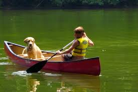 Once your dog has a good grasp of the commands, start first by introducing your canine to the kayak away from the water. The Complete Guide To Canoeing And Kayaking With Dogs