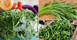 15 little known leafy vegetables of india you need to try