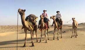 Kohteen real desert man camel safari arvostelusta : Real Desert Man Safari The Best Camel Safari In Jaisalmer