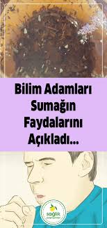Sumak Deyip Gecmeyin Faydalibilgiler Sifalibitkiler Kalicizayiflama Vertigo Faydalibilgiler Pratikbilgiler Alternatif Health Health Fitness Health Care