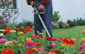 Whether you're dealing with weeds, lawn pests, or other lawn problems, we've got you covered! Lawn Mowing Lawn Care Dallas Tx Abc Home Commercial Services