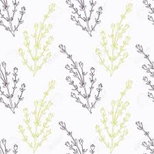 Personal finance and debt free living. Main Thym Dessinee Branche Stylise Noir Et Vert Seamless Pattern Doodle Dessin Herbes Epicees Cuisine Fond Hand Drawn Assaisonnement Vector Illustration Clip Art Libres De Droits Vecteurs Et Illustration Image 47519289