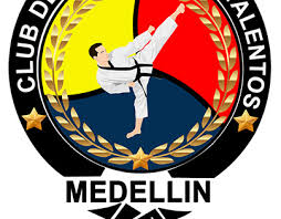 Logo maker tool, customized logo design Taekwondo Projects Photos Videos Logos Illustrations And Branding On Behance