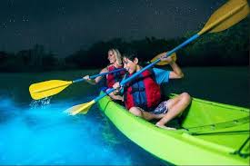 One of the highlights is feeding the fish! Cocoa Beach Night Time Bioluminescence Kayak Tour 2021 Cape Canaveral