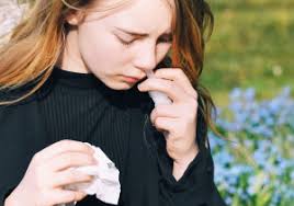 Herbebossing in Vietnam