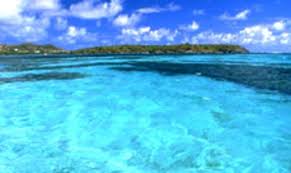 Madinina or madiana) is an island and an overseas department/region and single territorial collectivity of france. Il Fiore Dei Caraibi