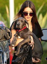 Page six, 20 мая 2021. Kendall Jenner Receives A Birthday Pup Petspyjamas