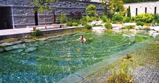 Swimming Pool Pond