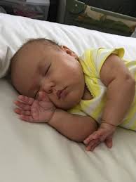 And the cutest baby that stole the White House Easter show is Karoline  Leavitt's little angel, Niko! 😍 The youngest Press Secretary ever,  Karoline Leavitt, 27, makes a rare appearance alongside her