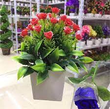 Pokok bunga enau adalah antara spesies pokok asli hidup di malaysia. Artificial Flower Bunga Hiasan Meja Mekar Mini Bunga Palsu With Pot Pokok Mini Type 5