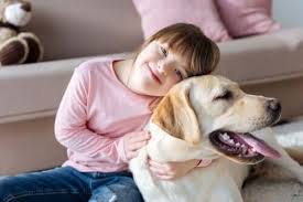 Cdc's official twitter source for daily credible health & safety updates from centers for disease control & prevention. Genetische Storungen Konnen Auch Hunde Das Down Syndrom Haben My Animals