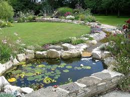Pond Design Warwickshire Swimming Ponds Staffordshire Pond Landscapers Warwickshire Water Garden Desig Swimming Pond Pond Landscaping Backyard Water Feature