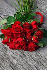 Rose Valentine S Valentine S Day Rose Valentine S Valentine S Day Rose Flower Wallpaper Red Flower Bouquet Red Roses Wallpaper