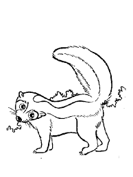 The striped skunk is one of the most feared animals in the midwest. Free Skunk Coloring Pages Download And Print Skunk Coloring Pages