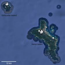 Image result for Colletoecema