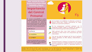 Control Prenatal Consejeria Obstetrica Docsity