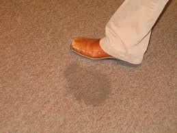 top carpet cleaning mistakes you can do