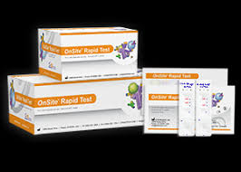 Leptospira Igg Igm Combo Rapid Test Ctk Biotech