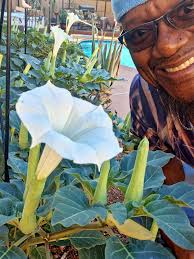 Happy monday from las vegas gardeners