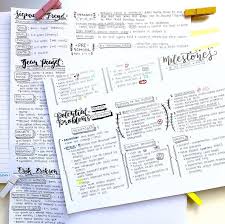 Illluminatedknowledge Psychology Notes Study Hard Developmental Psychology