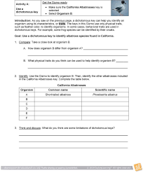 Maybe you would like to learn more about one of these? Student Exploration Dichotomous Keys Pdf Free Download