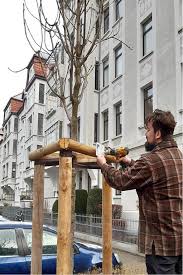 Finde 12 angebote für 3 zimmer wohnung braunschweig östliches ringgebiet zu bestpreisen, die günstigsten immobilien zu miete ab € 440. Baumspendenprogramm Stadt Braunschweig