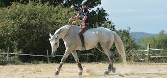 Just as there are places where standing can help you, there are also places where getting out of the saddle will work against you. Riding Bareback Here Is What You Should Know