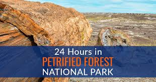 Maybe you would like to learn more about one of these? 24 Hours In Petrified Forest National Park When You Wander