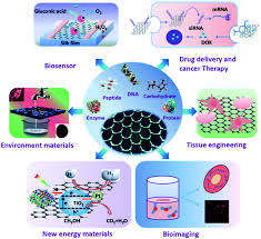 The classic answer is that dna contains the information to make proteins. When Biomolecules Meet Graphene From Molecular Level Interactions To Material Design And Applications Nanoscale Rsc Publishing