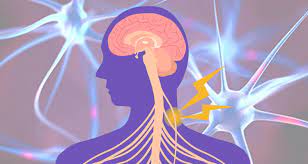 Stimulate Your Vagus Nerve To Improve Memory Says New Study