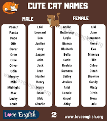 Kitty (english origin) the most commonly used english name, meaning a cat. Cat Names Top 160 Most Popular And Cute Kitten Names Love English Cat Names Kitten Names Cute Cat Names