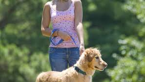 Summer Jobs For 12 Year Olds That Pay Career Trend Summer Jobs Business For Kids Keeping Kids Busy