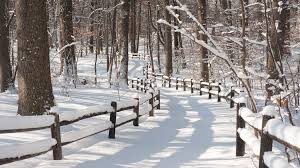 Five Easy Ways To Bust The Winter Blues in NYC | offMetro NY