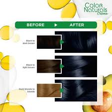 Purple wash out hair color best hairstyles 2018 via noelevated.org. Buy Garnier Color Naturals 2 1 Blue Black Online Shop Beauty Personal Care On Carrefour Uae