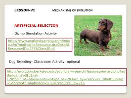 Turns an unsecure link into an anonymous one! Ppt Concept Mechanisms Of Evolution Powerpoint Presentation Free Download Id 2497747