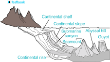 What is Oceanography? - Meaning, History & Different Braches