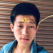 How many primogems do you have in Genshin Impact?